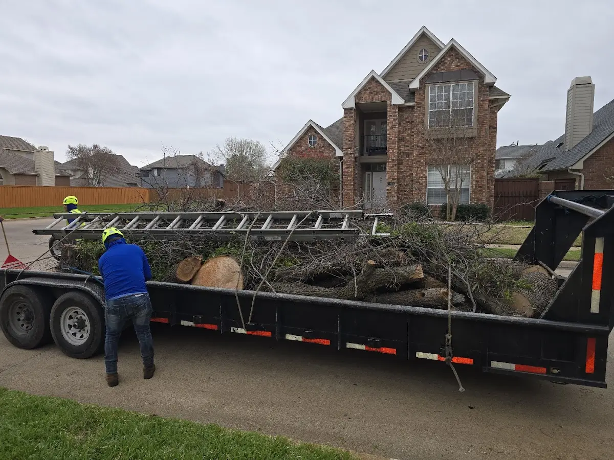 Expert Tree Pest Control with proper safety equipment in Tunnel City
